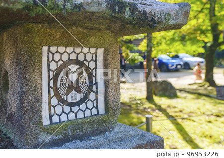 手向山八幡宮 ご神紋「向かい鳩」の石燈籠 手向山八幡宮 ご神紋「向かい鳩」の石燈籠 96953226