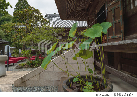 鎌倉円覚寺 塔頭 佛日庵 鎌倉円覚寺 塔頭 佛日庵 96953337
