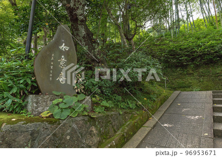 鎌倉円覚寺 如意庵 鎌倉円覚寺 如意庵 96953671