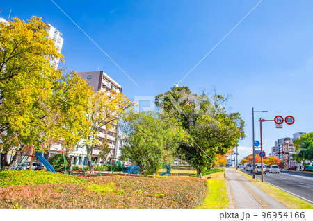 緑大橋西詰から東の平和記念公園方面を展望しています。平和大通りの美しい紅葉をご覧ください。広島県 96954166