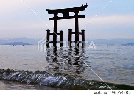 夜明けの琵琶湖に立つ滋賀県白鬚神社の鳥居 96954509