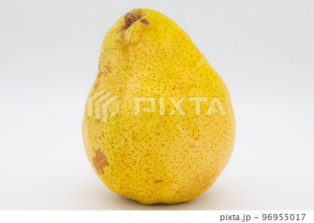 シルバーベル 一つ シルバーベル 一つ 96955017