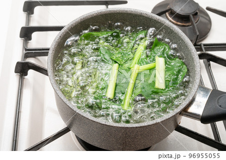 小松菜を茹でるカット 小松菜を茹でるカット 96955055