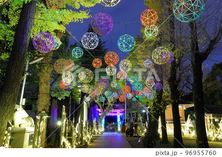 牛嶋神社のイルミネーション 東京都墨田区 牛嶋神社のイルミネーション 東京都墨田区 96955760
