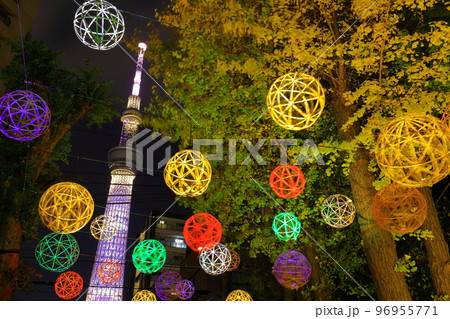牛嶋神社のイルミネーション 東京都墨田区 牛嶋神社のイルミネーション 東京都墨田区 96955771
