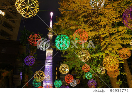 牛嶋神社のイルミネーション 東京都墨田区 牛嶋神社のイルミネーション 東京都墨田区 96955773