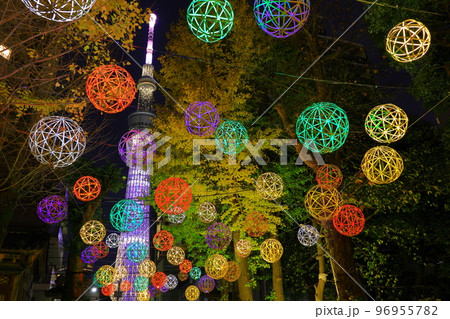 牛嶋神社のイルミネーション　東京都墨田区 96955782