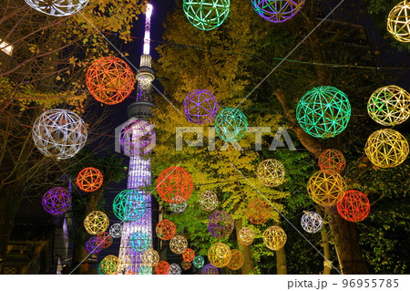 牛嶋神社のイルミネーション 東京都墨田区 牛嶋神社のイルミネーション 東京都墨田区 96955785