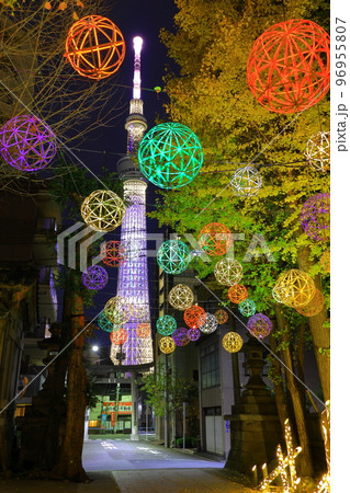 牛嶋神社のイルミネーション　東京都墨田区 96955807