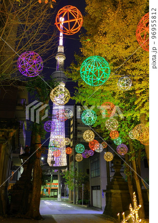 牛嶋神社のイルミネーション 東京都墨田区 牛嶋神社のイルミネーション 東京都墨田区 96955812