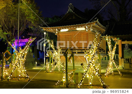牛嶋神社のイルミネーション 東京都墨田区 牛嶋神社のイルミネーション 東京都墨田区 96955824