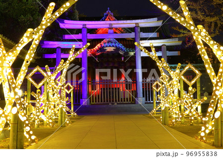 牛嶋神社のイルミネーション 東京都墨田区 牛嶋神社のイルミネーション 東京都墨田区 96955838