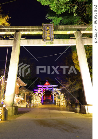 牛嶋神社のイルミネーション　東京都墨田区 96955862