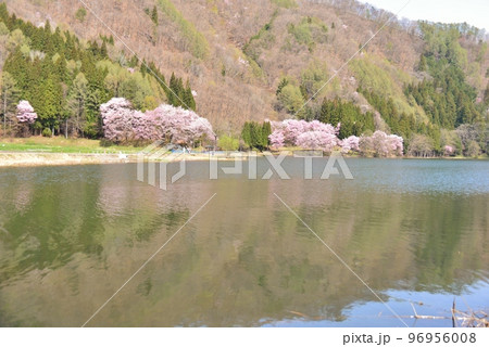 春の中綱湖 96956008