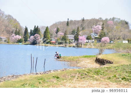 春の中綱湖 96956011