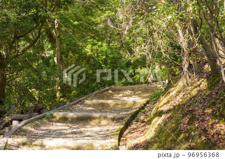 若草山の北ルート登山道 若草山の北ルート登山道 96956368