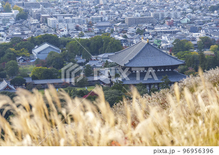 若草山のススキ越しに見る東大寺大仏殿と奈良の町並み 紅葉の季節 若草山のススキ越しに見る東大寺大仏殿と奈良の町並み 紅葉の季節 96956396