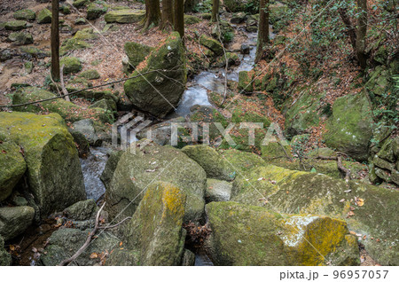 交野八景　尺治の翠影　大阪府交野市 96957057