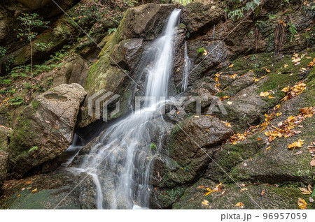 交野八景 尺治の翠影 月の輪滝 大阪交野市 交野八景 尺治の翠影 月の輪滝 大阪交野市 96957059