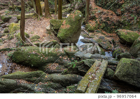交野八景 尺治の翠影 大阪府交野市 交野八景 尺治の翠影 大阪府交野市 96957064