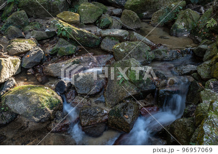 交野八景　尺治の翠影　大阪府交野市 96957069