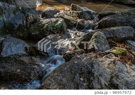 交野八景 尺治の翠影 大阪府交野市 交野八景 尺治の翠影 大阪府交野市 96957072