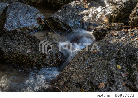 交野八景　尺治の翠影　大阪府交野市 96957073