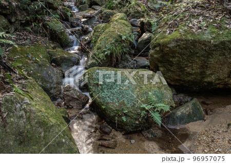 交野八景　尺治の翠影　大阪府交野市 96957075