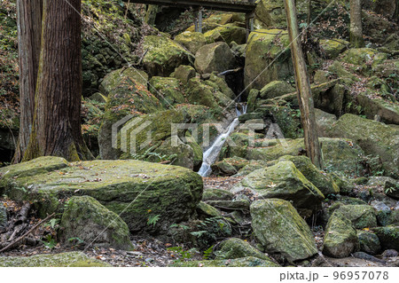 交野八景　尺治の翠影　大阪府交野市 96957078