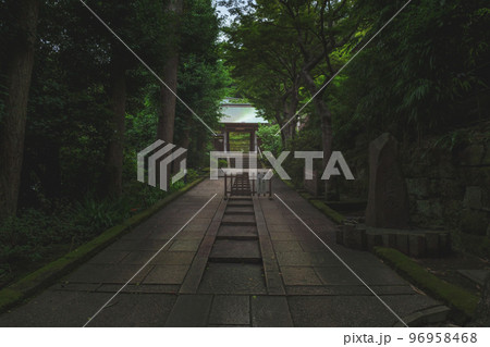 鎌倉円覚寺 塔頭 続燈庵の参道風景 96958468