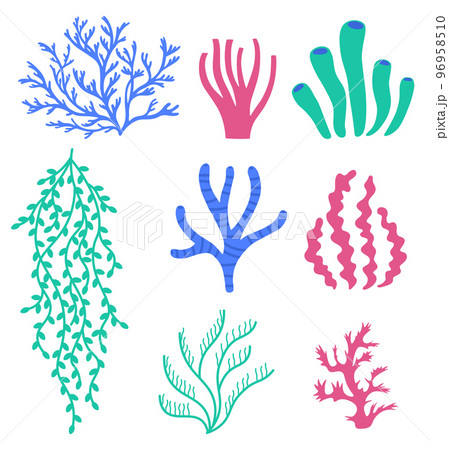Sea corals and seaweeds. Underwater colorful plants. Undersea floral wildlife and aquarium elements. Natural algae Sea corals and seaweeds. Underwater colorful plants. Undersea floral wildlife and aquarium elements. Natural algae 96958510