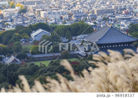 若草山のススキ越しに見る東大寺大仏殿と奈良の町並み 紅葉の季節 若草山のススキ越しに見る東大寺大仏殿と奈良の町並み 紅葉の季節 96958537