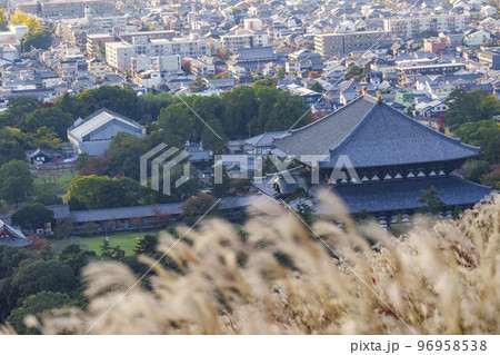 若草山のススキ越しに見る東大寺大仏殿と奈良の町並み 紅葉の季節 若草山のススキ越しに見る東大寺大仏殿と奈良の町並み 紅葉の季節 96958538