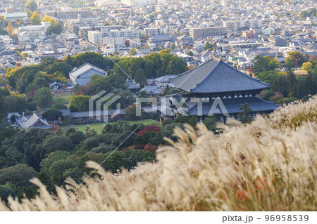 若草山のススキ越しに見る東大寺大仏殿と奈良の町並み 紅葉の季節 若草山のススキ越しに見る東大寺大仏殿と奈良の町並み 紅葉の季節 96958539