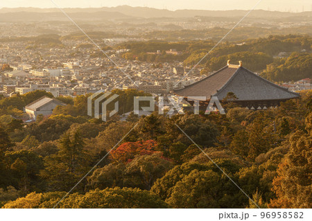黄金色に染まる東大寺大仏殿(若草山からの眺め) 紅葉の季節 黄金色に染まる東大寺大仏殿(若草山からの眺め) 紅葉の季節 96958582