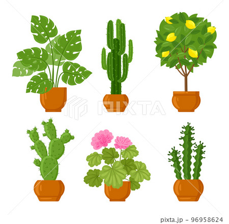 Cartoon house botanical decor potted plants. Different houseplants with green leaves, pink flowers and lemon citrus Cartoon house botanical decor potted plants. Different houseplants with green leaves, pink flowers and lemon citrus 96958624