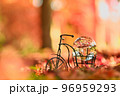 赤く燃える紅葉の中を散歩 赤く燃える紅葉の中を散歩 96959293