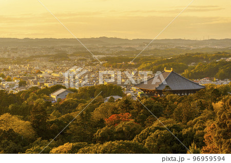 黄金色に染まる東大寺大仏殿（若草山からの眺め）　紅葉の季節 96959594