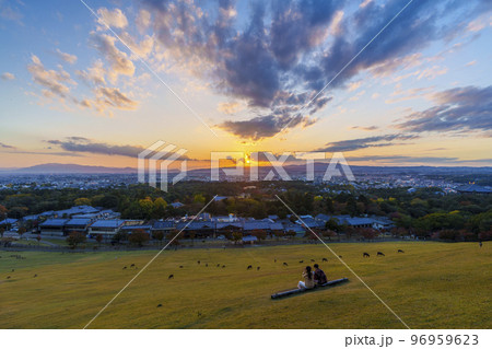 若草山から見る奈良公園と奈良市街の夕景 若草山から見る奈良公園と奈良市街の夕景 96959623