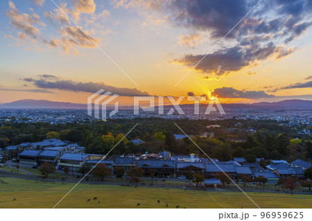 若草山から見る奈良公園と奈良市街の夕景 若草山から見る奈良公園と奈良市街の夕景 96959625