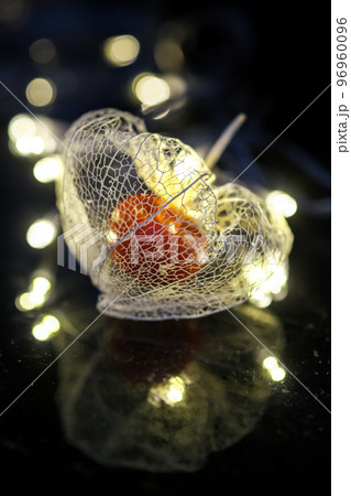 黒い背景に浮き立ち、イルミネーションの光で彩られた透かしホオズキ。 96960096