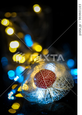 黒い背景に浮き立ち、イルミネーションの光で彩られた透かしホオズキ。 96960183