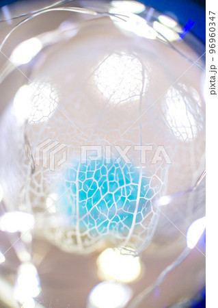 黒い背景に浮き立ち、イルミネーションの光で彩られた透かしホオズキの写真 黒い背景に浮き立ち、イルミネーションの光で彩られた透かしホオズキの写真 96960347