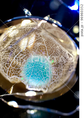 黒い背景に浮き立ち、イルミネーションの光で彩られた透かしホオズキの写真 96960352