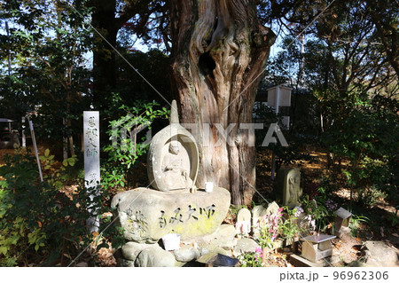 四国霊場 46番札所 浄瑠璃寺 四国霊場 46番札所 浄瑠璃寺 96962306