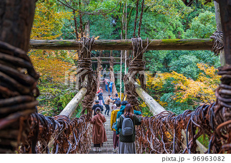 【徳島】祖谷のかずら橋【秋】 96963082