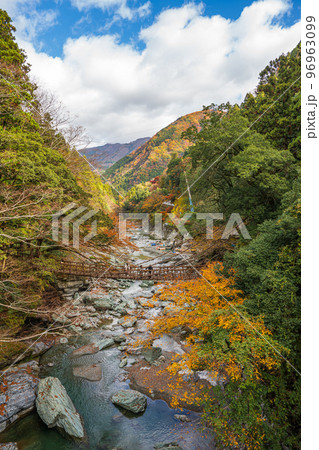 【徳島】祖谷のかずら橋【秋】 96963099