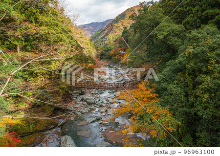 【徳島】祖谷のかずら橋【秋】 96963100