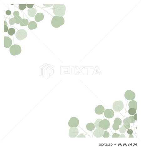 ユーカリポポラスのある背景 96963404