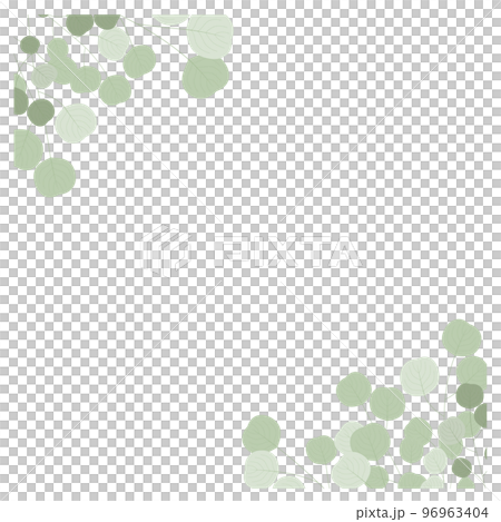 ユーカリポポラスのある背景 96963404